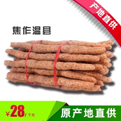 河南焦作温县垆土铁棍山药怀山药新鲜山药