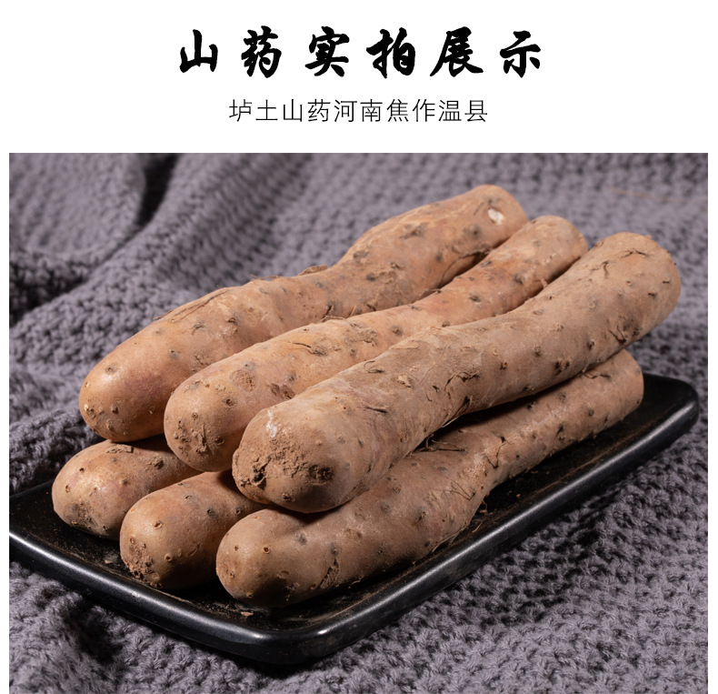 未标题-1-副本_12