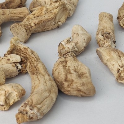 大鹏菇业手工挑选抛光小双剪 熟食厂专用 香菇腿 香菇脚 食用菌