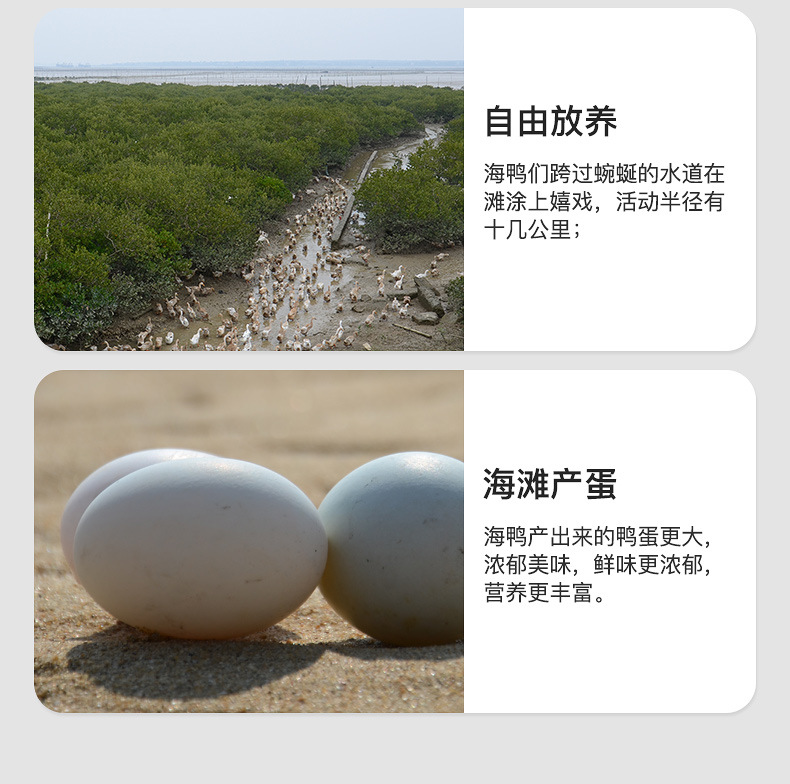 海鸭子阿里巴巴详情页_02.jpg