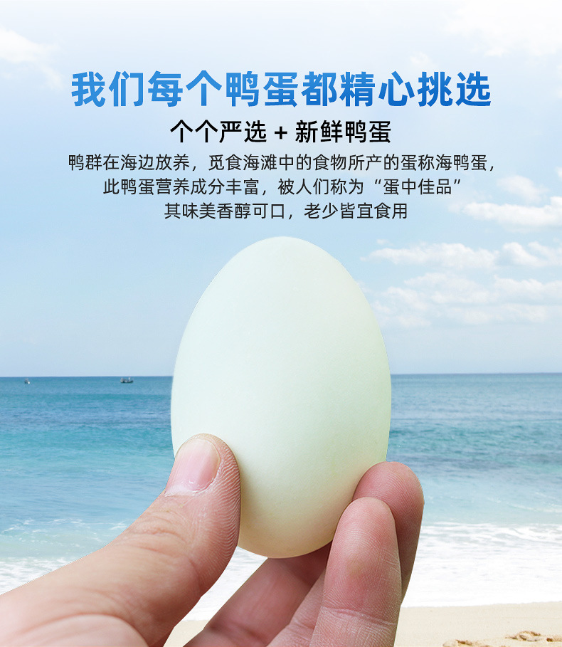 海鸭子阿里巴巴详情页_11.jpg