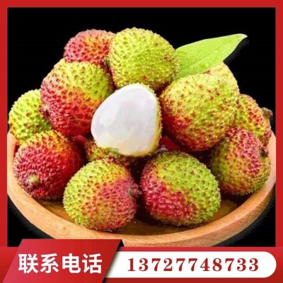 现货批发妃子笑荔枝 当季水果果场现货直发 可快递