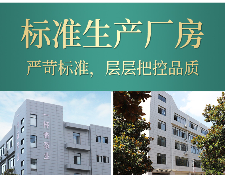 云雾绿茶1 (15)