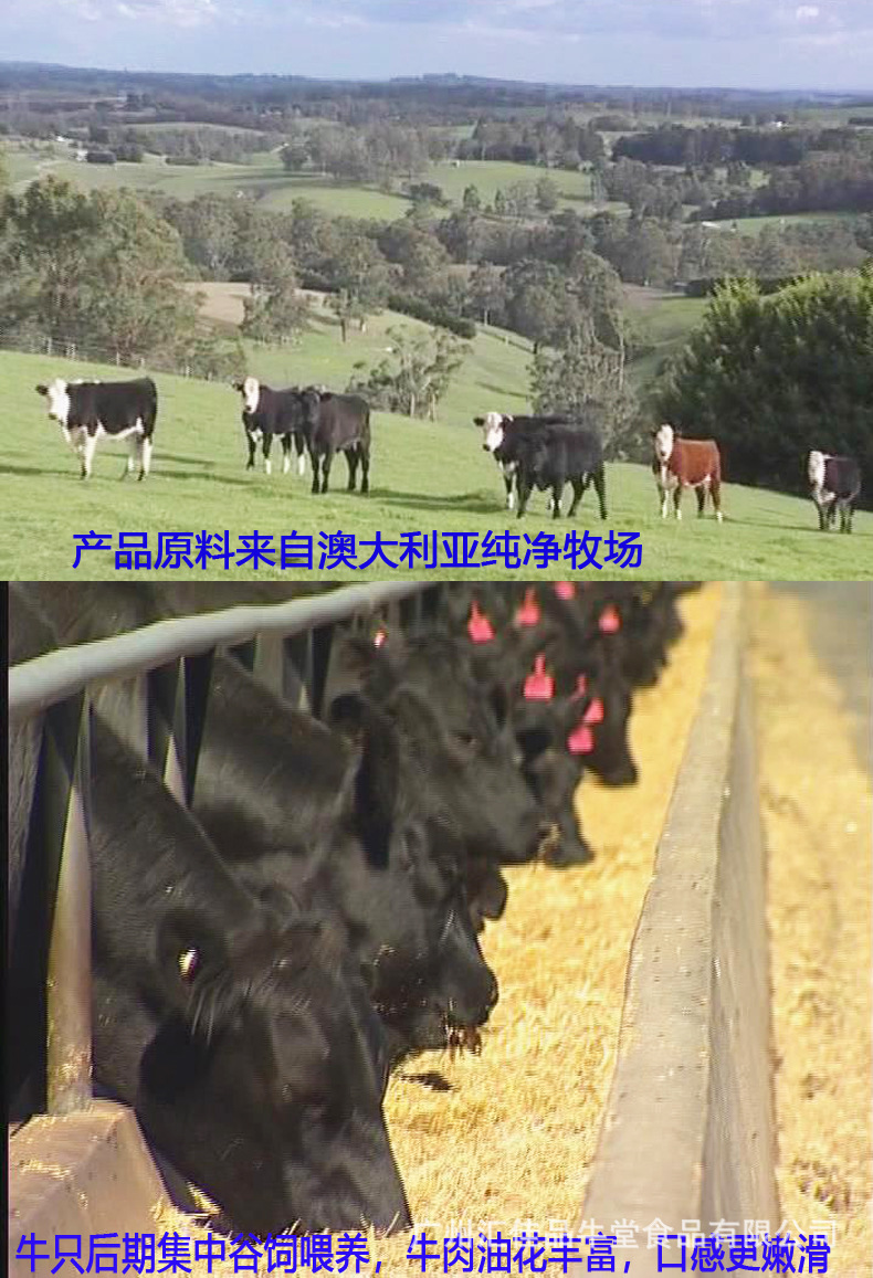 详情2
