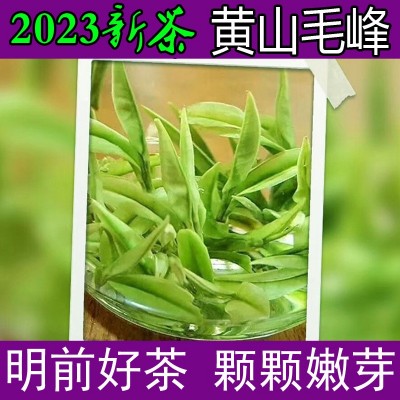 2023新茶黄山毛峰茶叶绿茶明前特一级春茶安徽高山毛尖散装250g