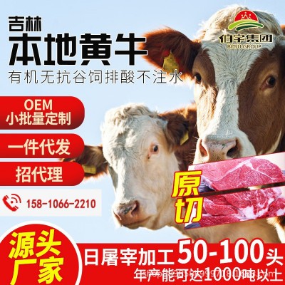 【伯宇集团】长春本地活牛牛场屠宰厂肉牛代宰 招代理一件代发