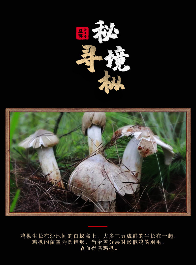 鸡枞油_05.jpg