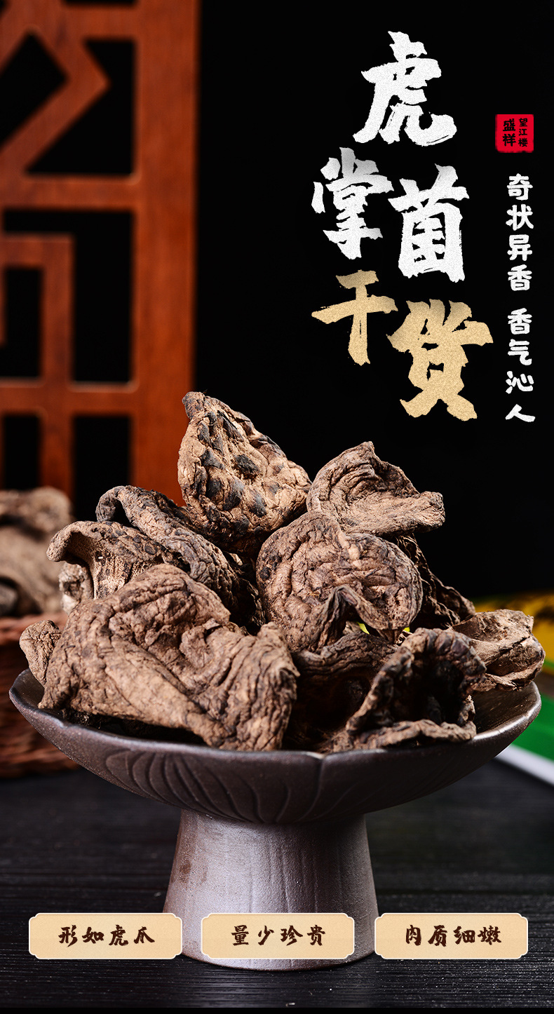 虎掌菌_01.jpg