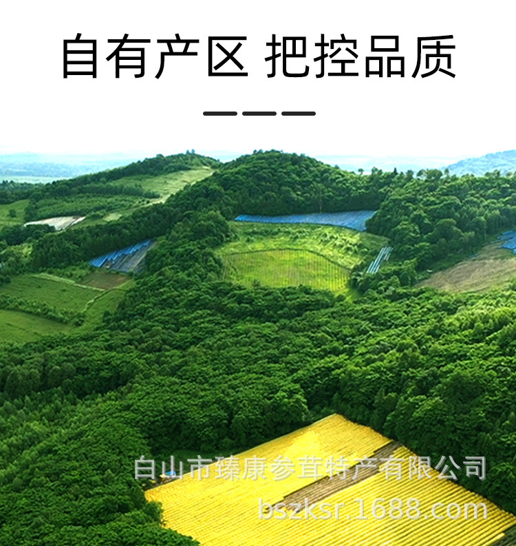 50g罐装西洋参_05.jpg