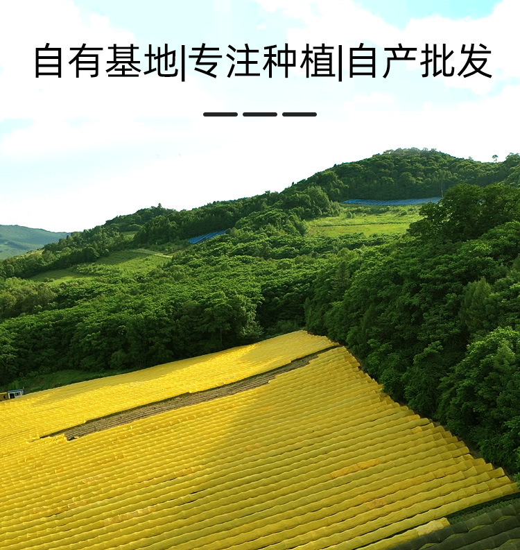 散装西洋参片_02.jpg
