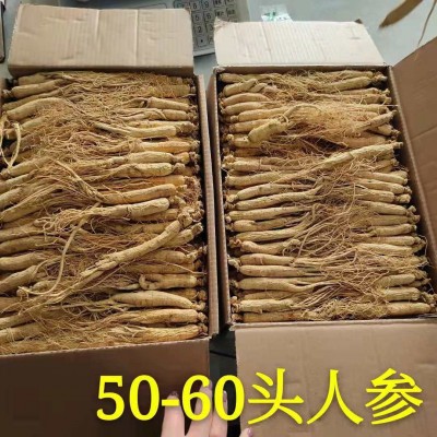 生晒参 白参 东北人参 长白山人参 园参 全须 500g 高丽参
