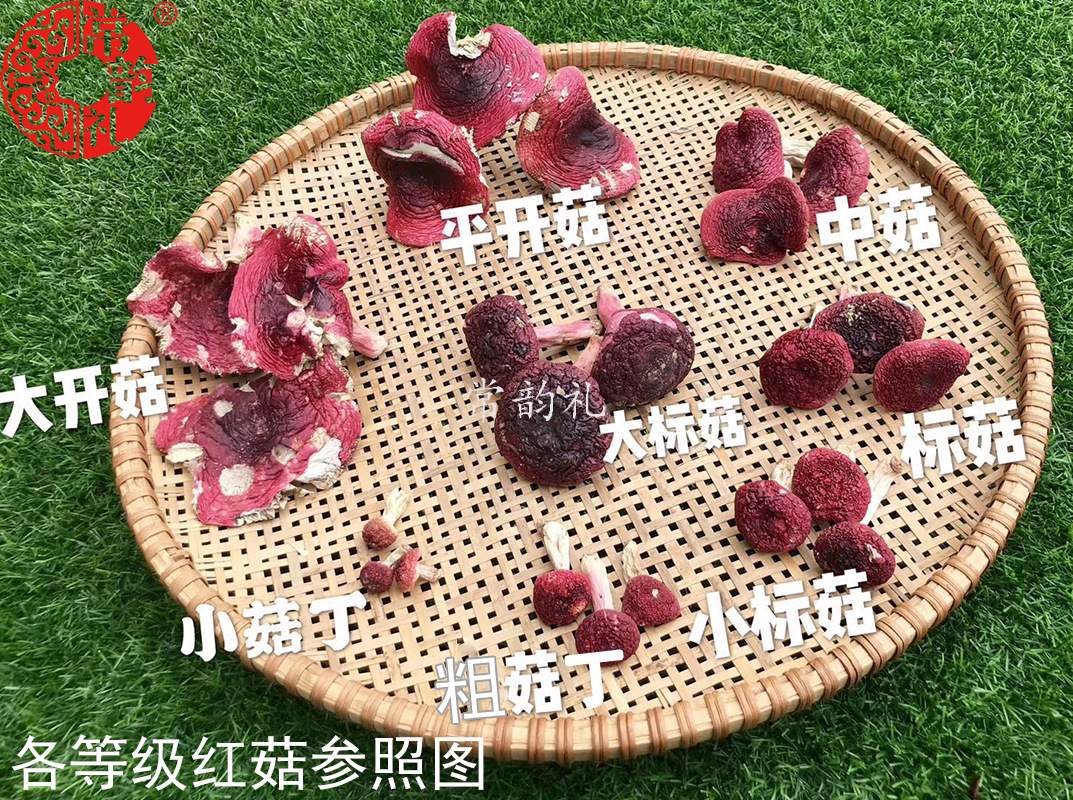 各等级.jpg