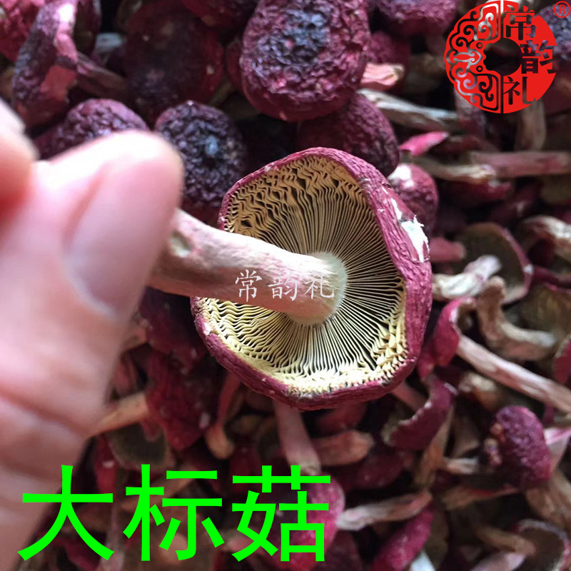 大标菇5 .jpg