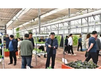 三农和人才成为这场经验交流会的重点聚焦
