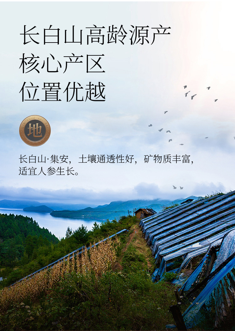 详情-1.jpg