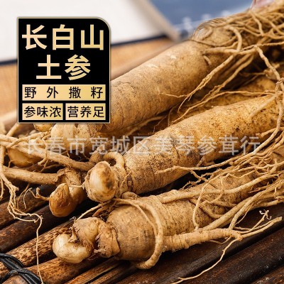 东北长白山产地货源带土人参新鲜林下参山参白参规格齐全批发煲汤