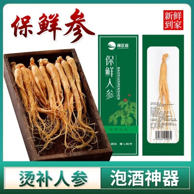 抖音爆款人参净含量5g/袋 独立真空 长白山人参现货正品批发