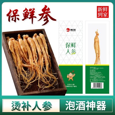 抖音爆款人参净含量8g/盒礼盒款 厂家直销长白山人参现货正品批发
