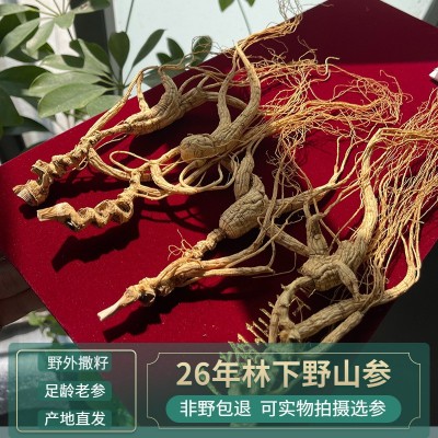 人参一等参泡酒药材林下参足26年干货野山人参长白山野山参礼盒装