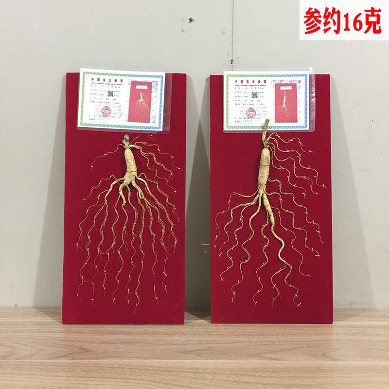 后补
