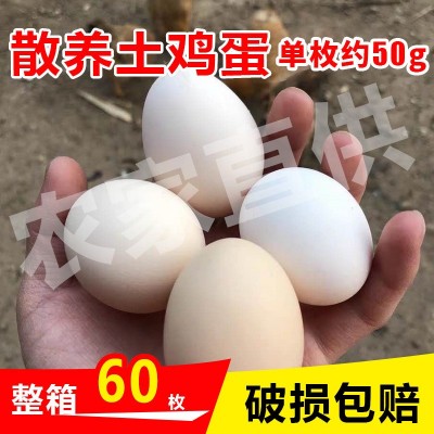 鸡蛋整箱60枚土鸡蛋农家散养笨鸡蛋柴鸡蛋五谷饲养破损包赔可批发