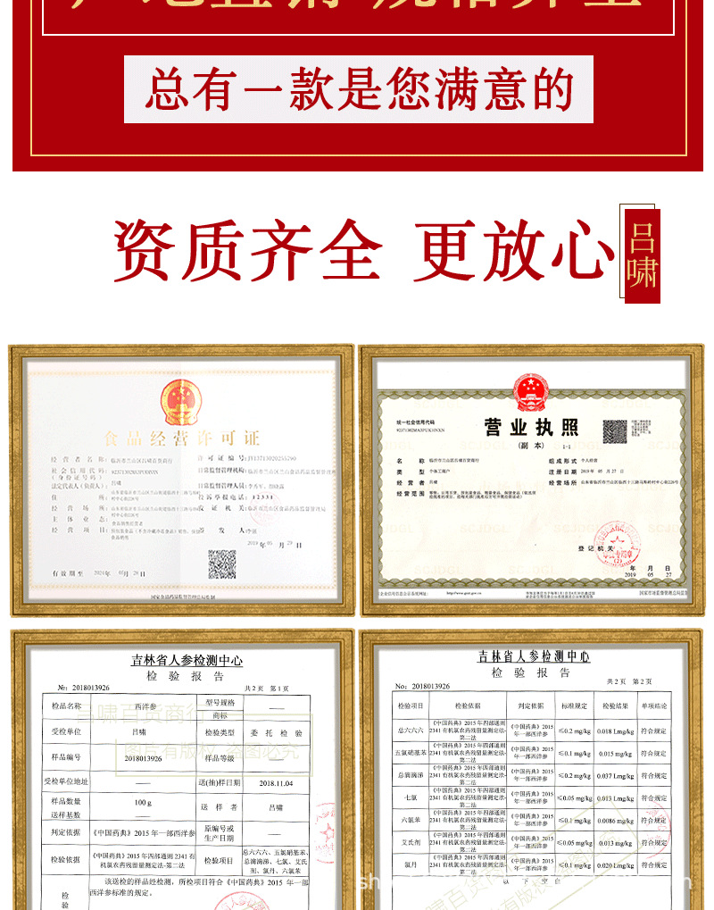 人参全须_10.png