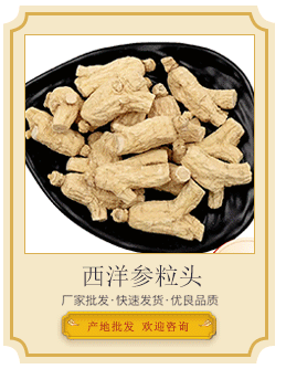 鲜林下参导引