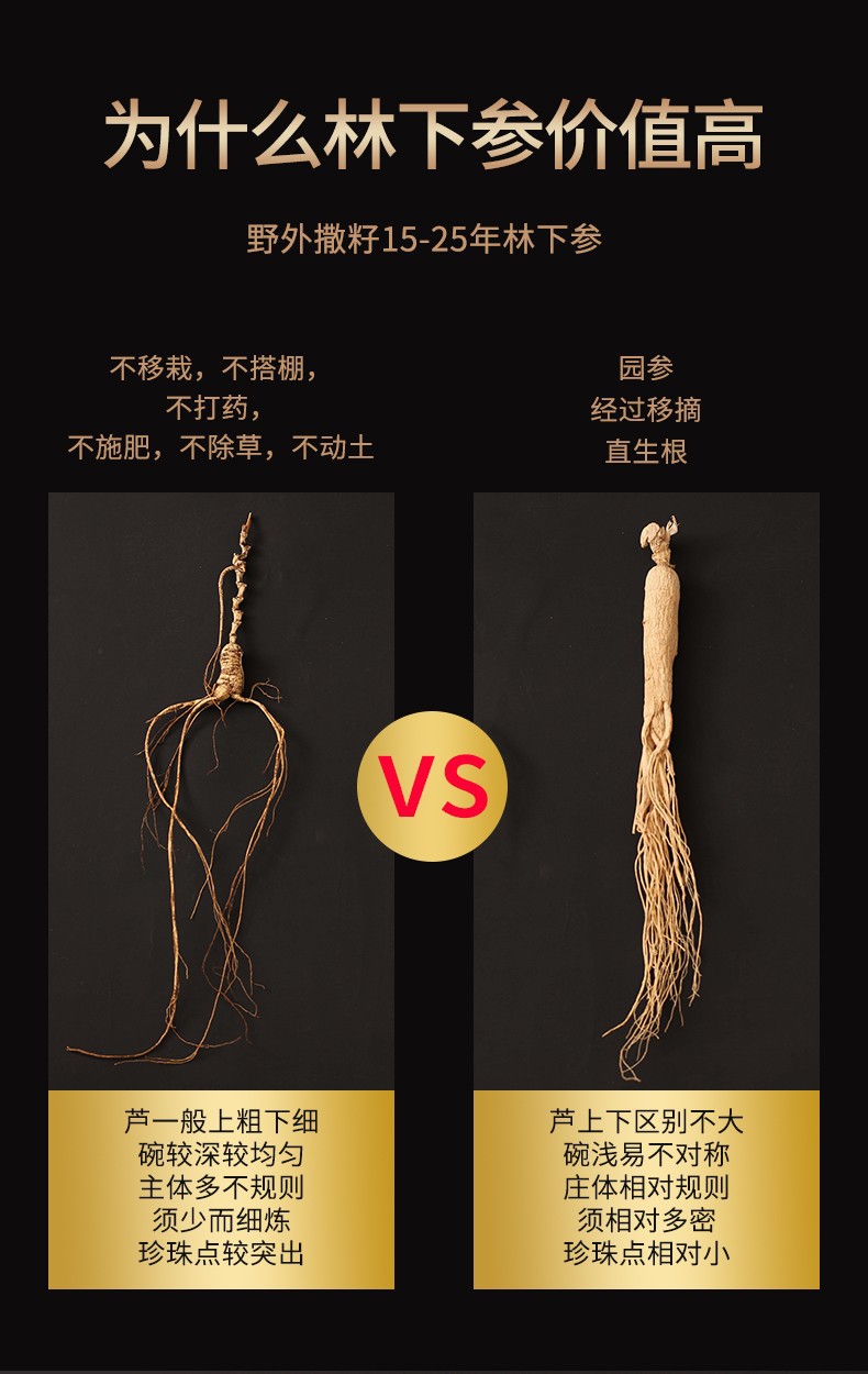 西洋参粒头导引