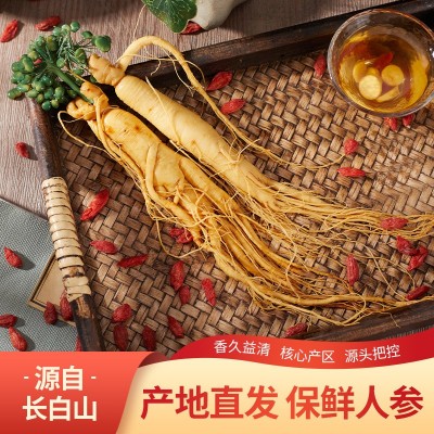 人参批发 长白山保鲜参独立包装煲汤泡酒炖煮原产地直发人参