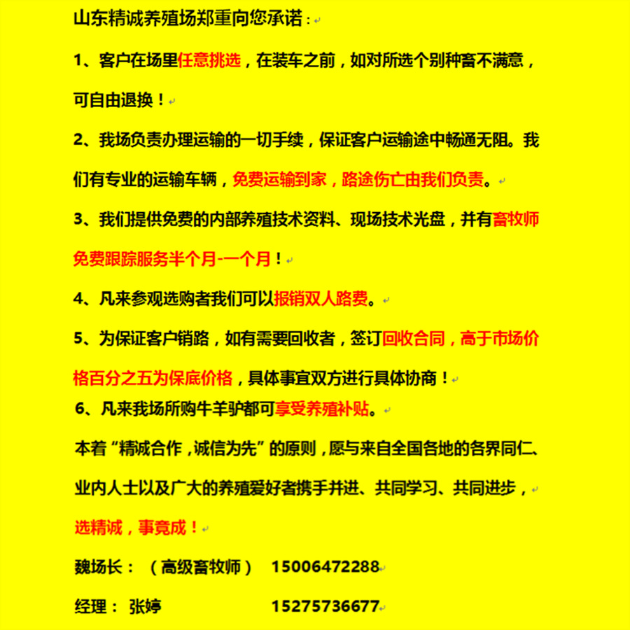 11_副本.png