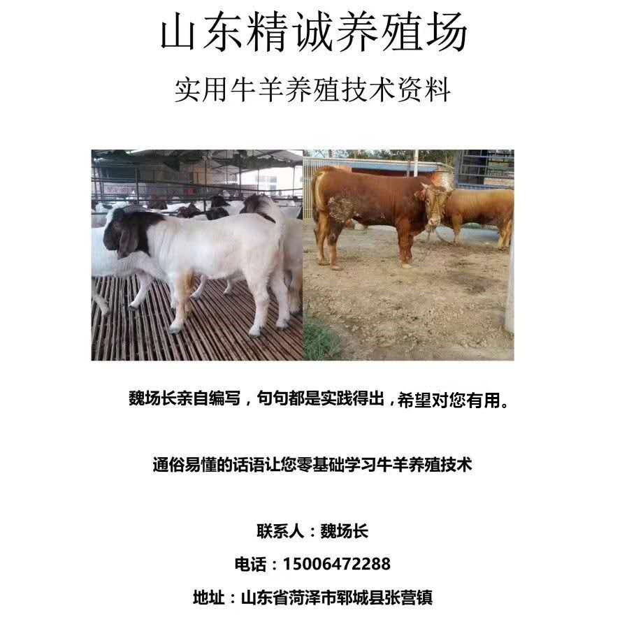662530085_副本.jpg
