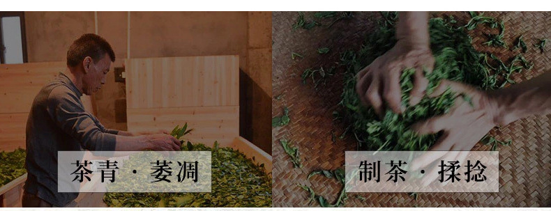 果香肉桂_07