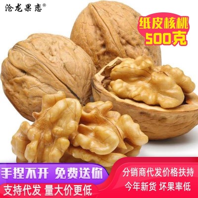 新疆185纸皮核桃 批发代发薄皮核桃500g手捏即开薄壳纸皮生核桃