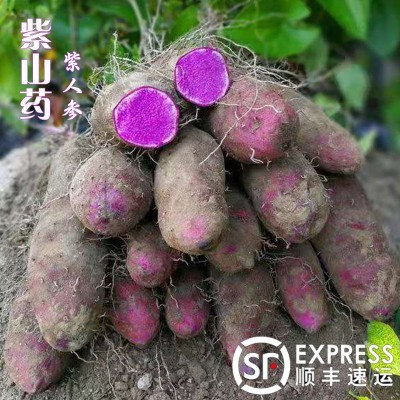 江西赣南紫山药新鲜蔬菜脚板薯紫薯现挖紫玉淮山铁棍山药整箱批发