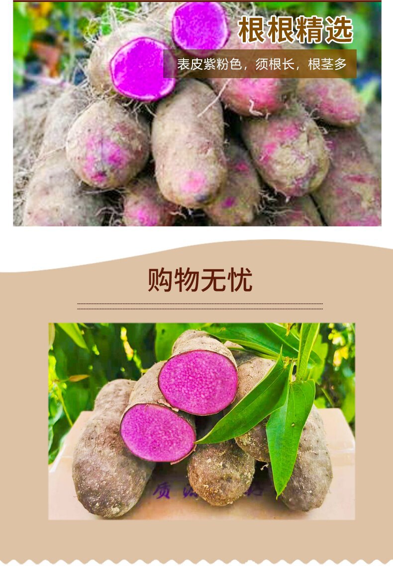 详情_07_proc.jpg