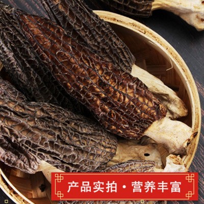 云南特产羊肚菌