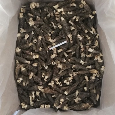 产地专业批发七彩菌汤包250g羊肚菌带柄4公分以上 干货人工养殖丛