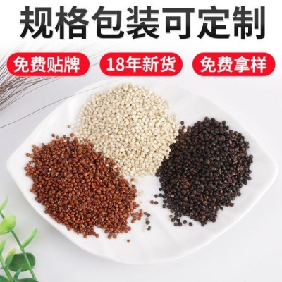 三色藜麦五谷杂粮食 农家自产白黎麦 红藜麦黑藜麦散装500g批发