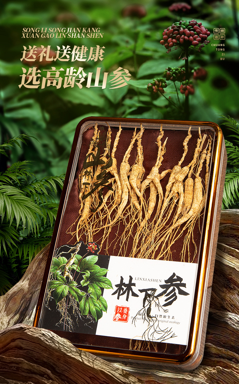 林下参 (3).jpg
