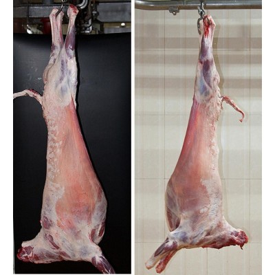 内蒙古 白条羊厂家批发整羊全羊15-20kg 烧烤食材 烤全羊