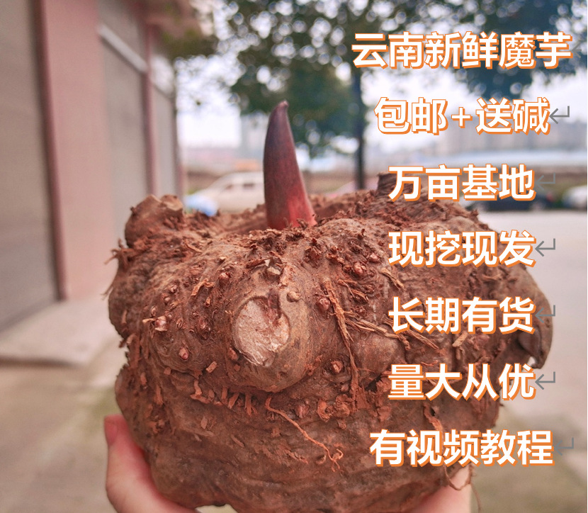微信图片_20201019211328