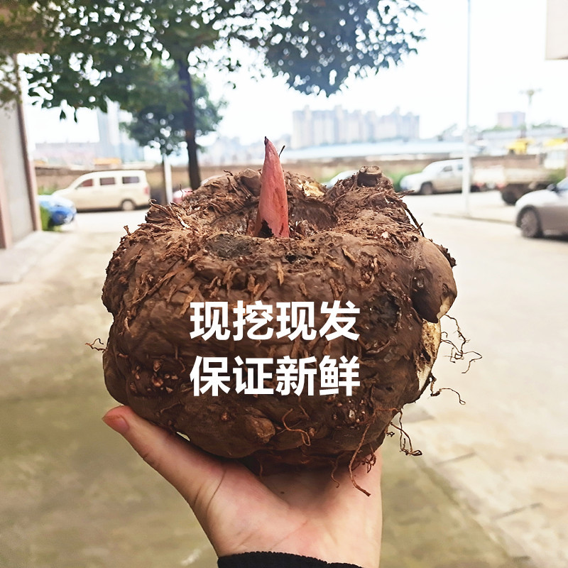 微信图片_20201019193959_副本
