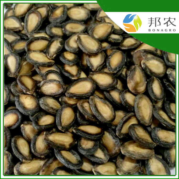 黑西瓜子.jpg