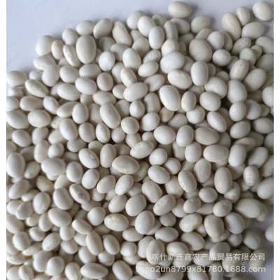 出售2022年产海军白芸豆26吨清库存内销标准现货大连海军白芸豆