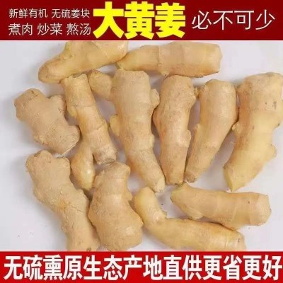山东风干姜巴大姜鲜姜生姜老姜月子姜风干姜3斤实惠装一件代发