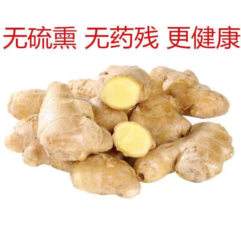 微信图片_202103151030492