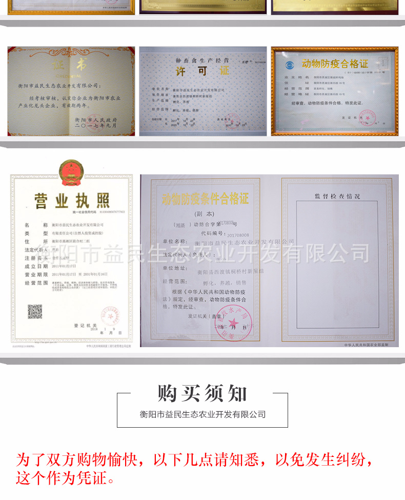 五黑一绿_10.jpg