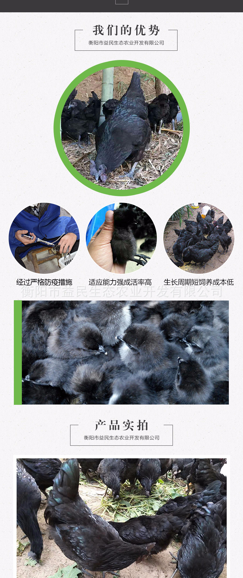 五黑一绿_02.jpg