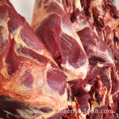 新鲜牦牛肉 高原耗牛肉里脊牛腩牛腱子 牛排骨 牛后腿肉