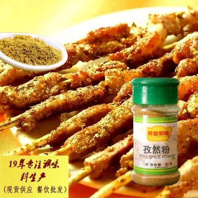 厂家 孜然粉香辛料家用商用瓶装30g炒菜烧烤厨房地摊餐饮调料批发